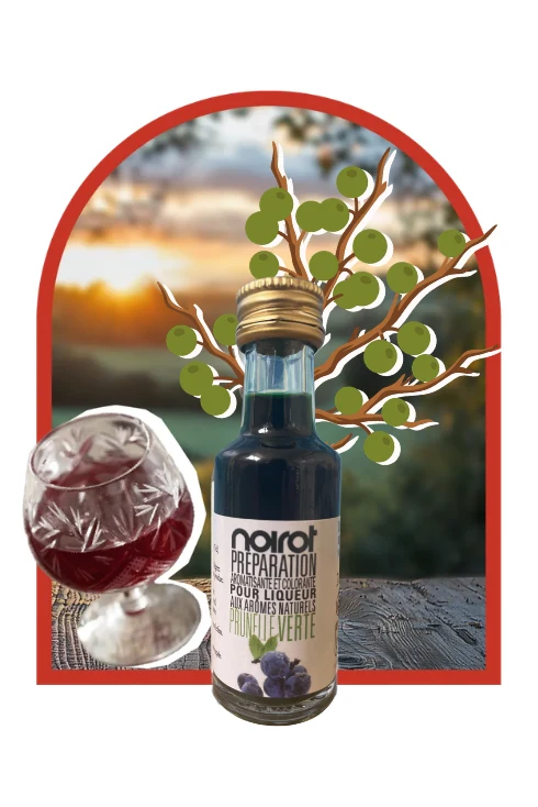 PRÉPARATION POUR LIQUEUR ARÔME PRUNELLE VERTE