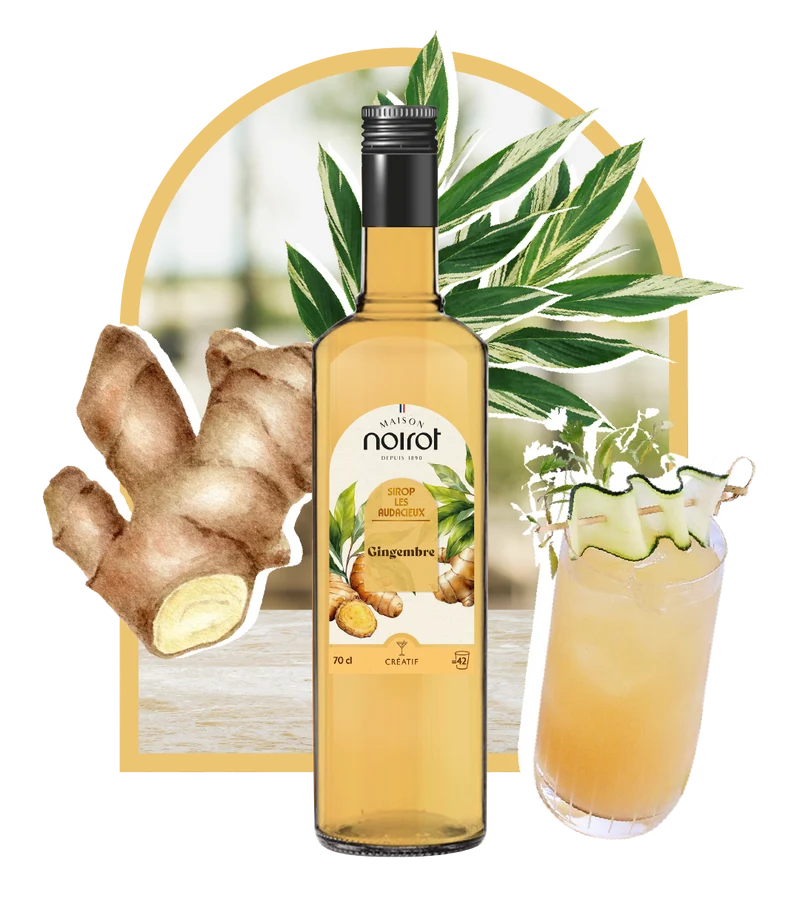 SIROP GINGEMBRE