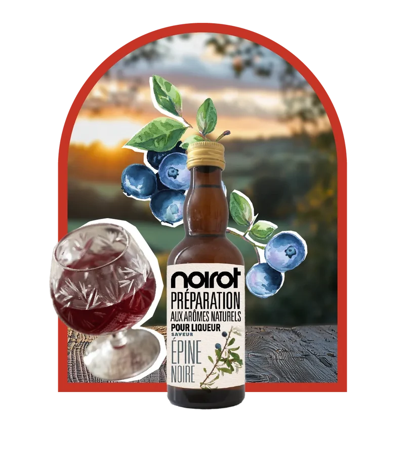 KIT LIQUEUR ARÔME EPINE NOIRE