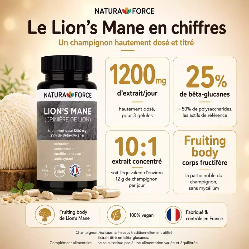 Lion's Mane (Crinière de lion)