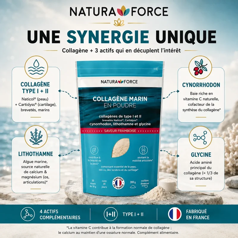 Collagène marin en poudre Naticol® & Cartidyss®