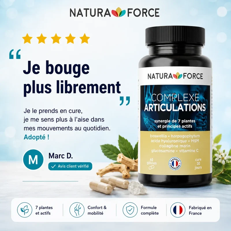 Complexe articulations