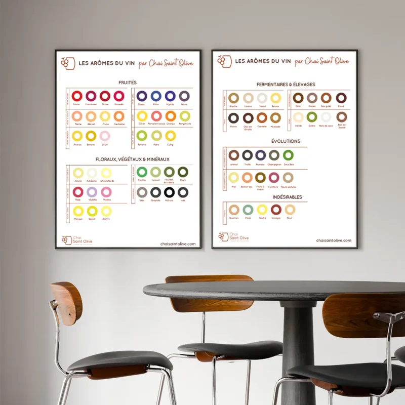 Souvenir "Les Arômes du Vin" | Le guide visuel de la dégustation