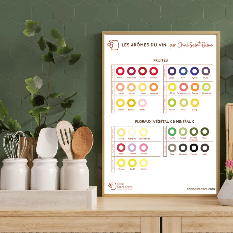 Souvenir "Les Arômes du Vin" | Le guide visuel de la dégustation