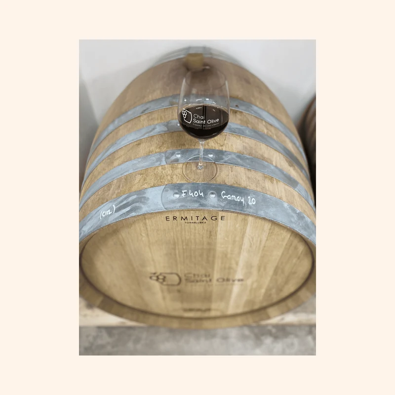 Gamay 812