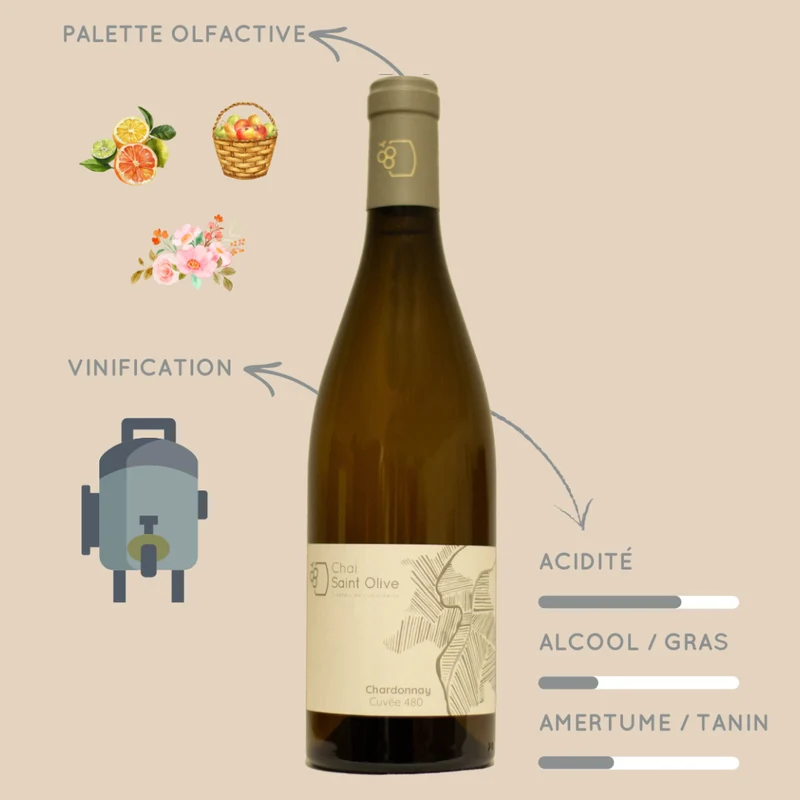 Chardonnay 480