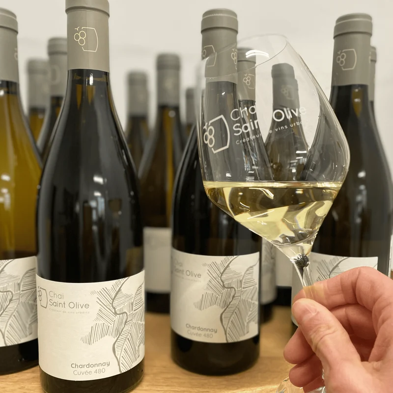 Chardonnay 480