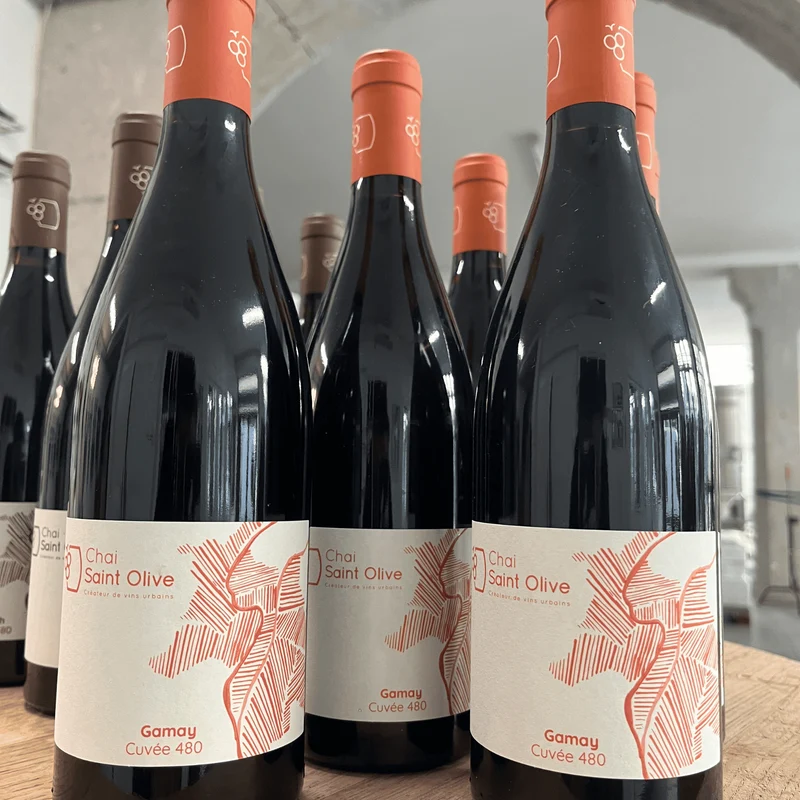 Gamay 480