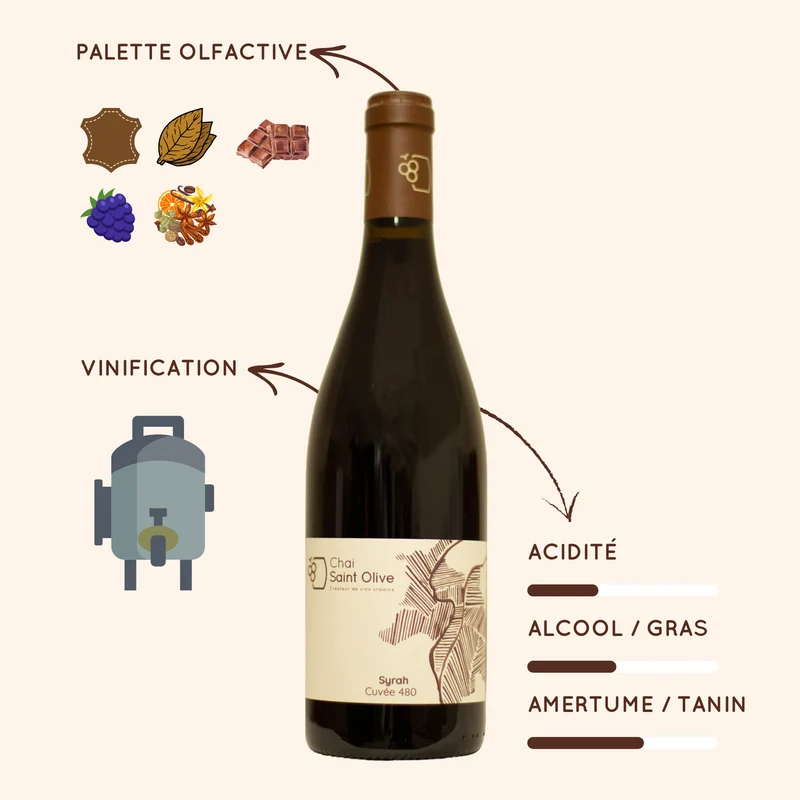 Syrah 480