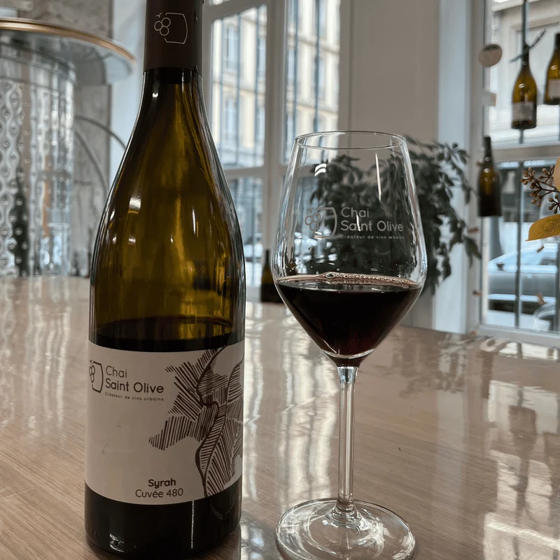 Syrah 480