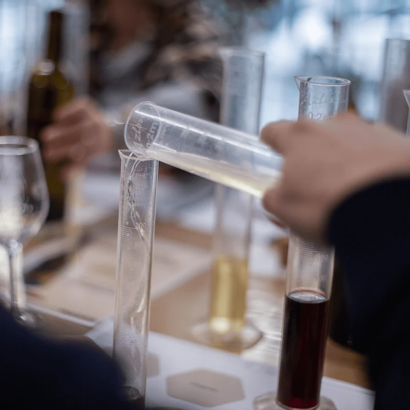 Atelier assemblage de son vin : Créer sa propre cuvée