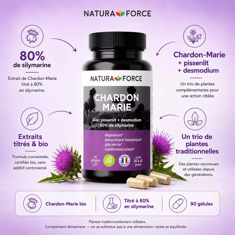 Chardon marie bio