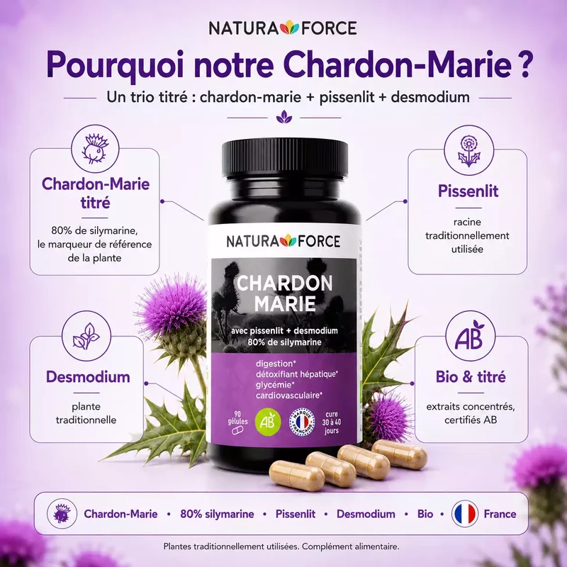 Chardon marie bio