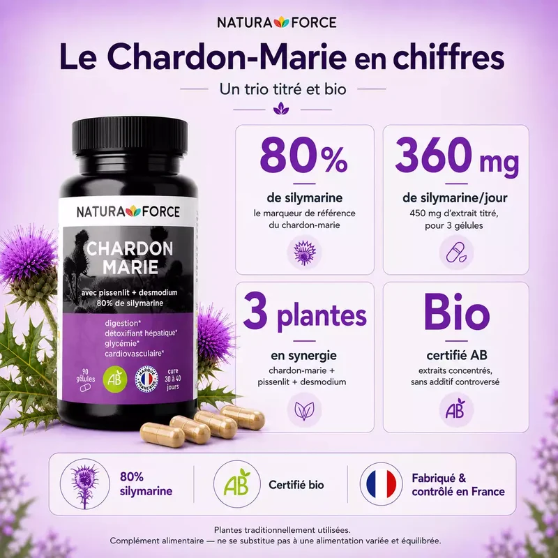 Chardon marie bio