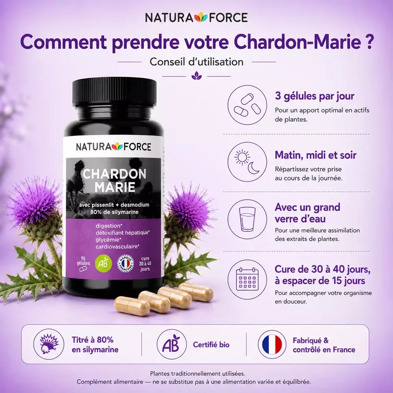Chardon marie bio