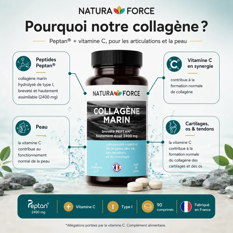 Collagène marin hydrolysé Peptan®