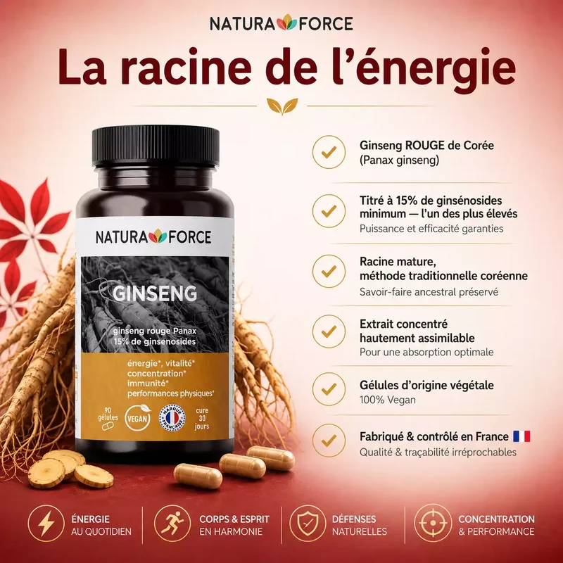 Ginseng rouge de Corée