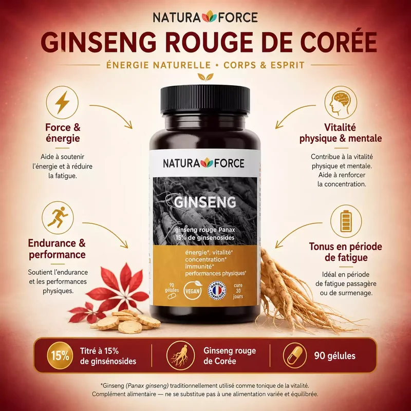 Ginseng rouge de Corée