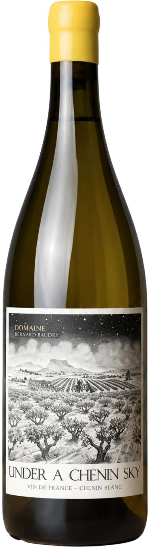 Under a Chenin Sky - 2025 - Domaine Aurélien Petit