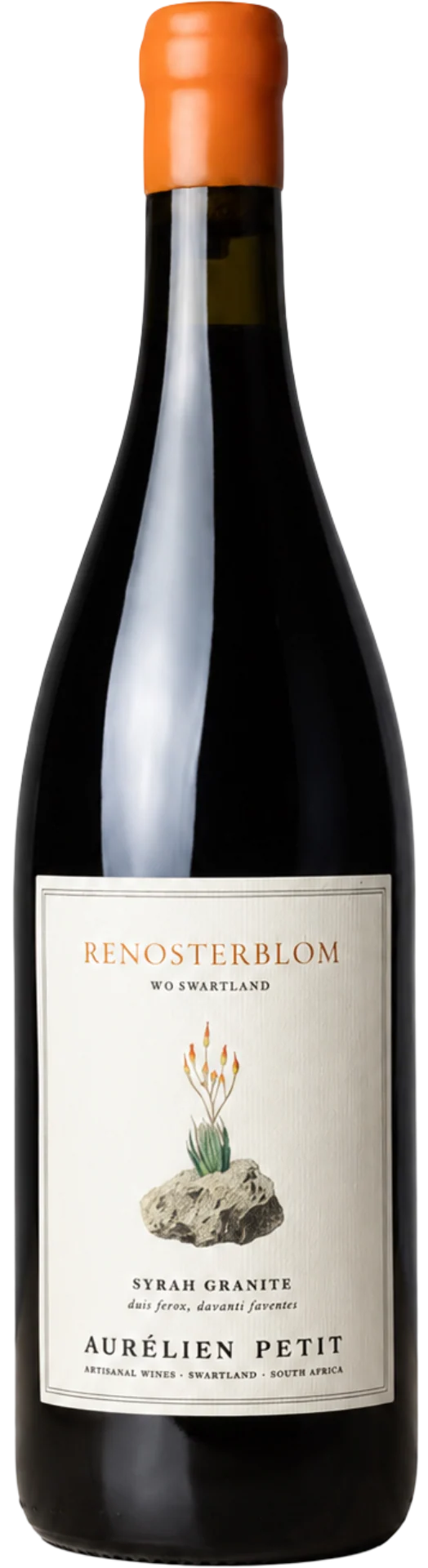 Renosterblom - 2025 - Domaine Aurélien Petit