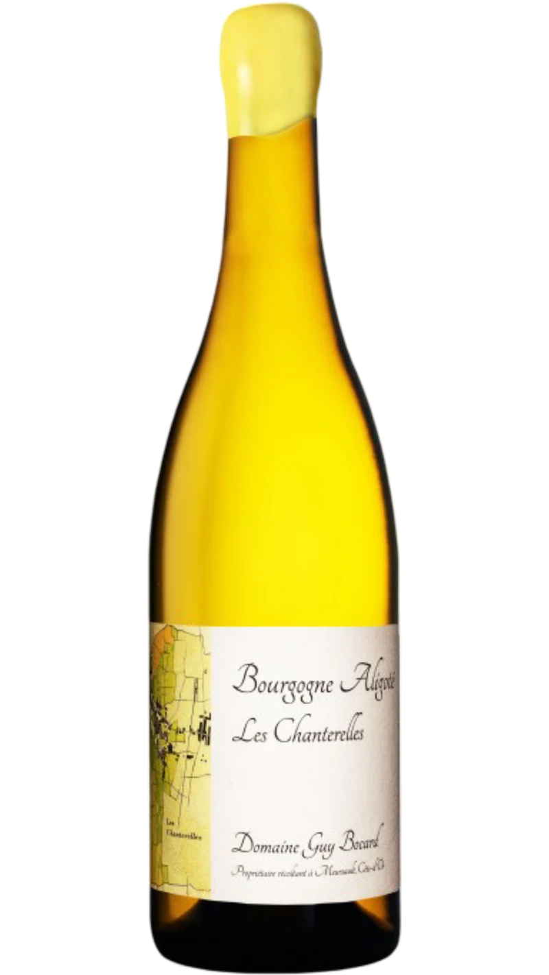Magnum Bourgogne Aligoté - 2023 - Domaine Guy Bocard