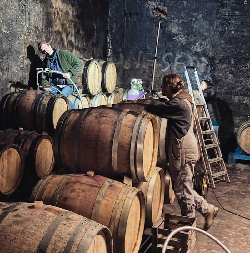 Spätburgunder Kalk - 2024 - Domaine Wasenhaus