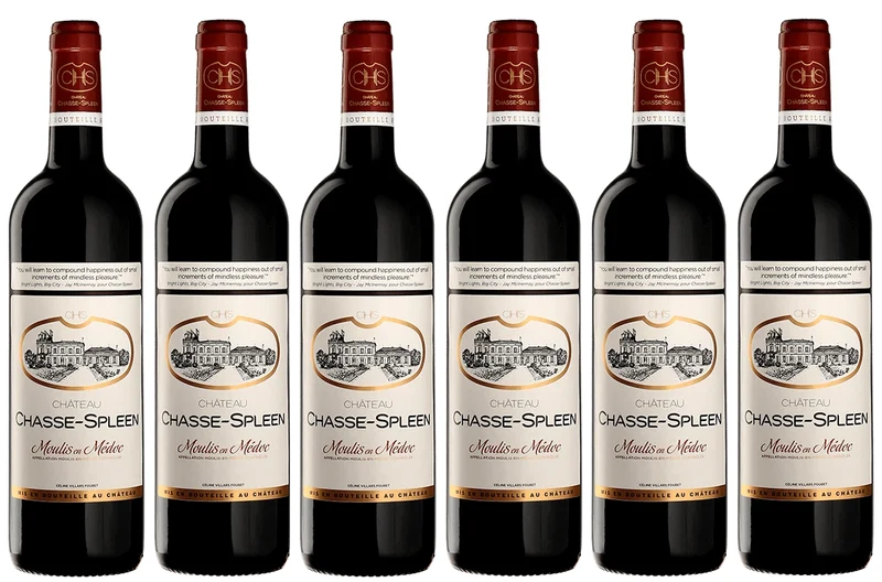 Château Chasse Spleen 2019 X 6