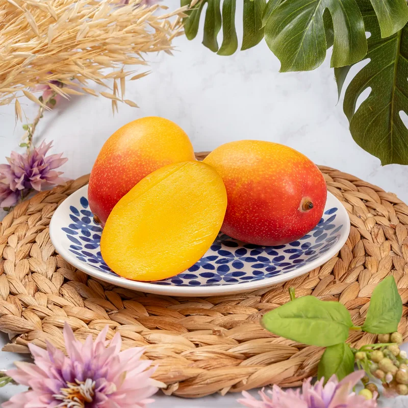Mini mangue Sensation d'Espagne