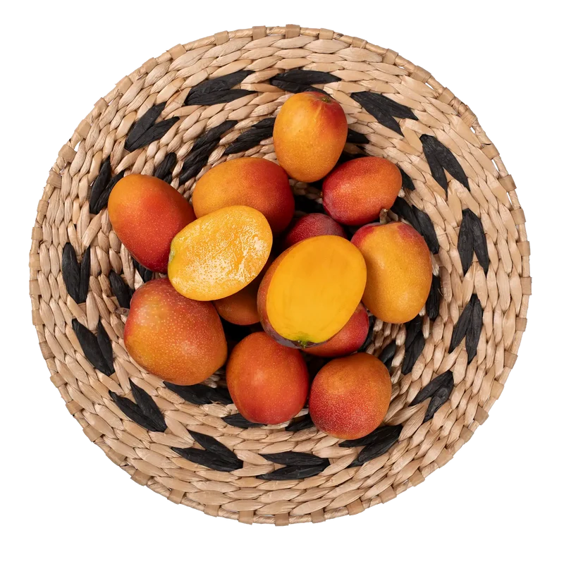 Mini mangue Irwin Bonbon d'Espagne