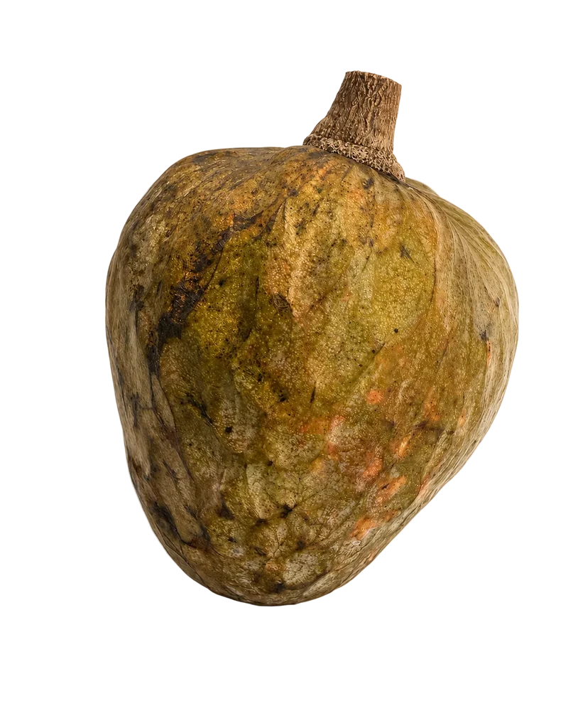 Cœur de bœuf de l'Île de La Réunion