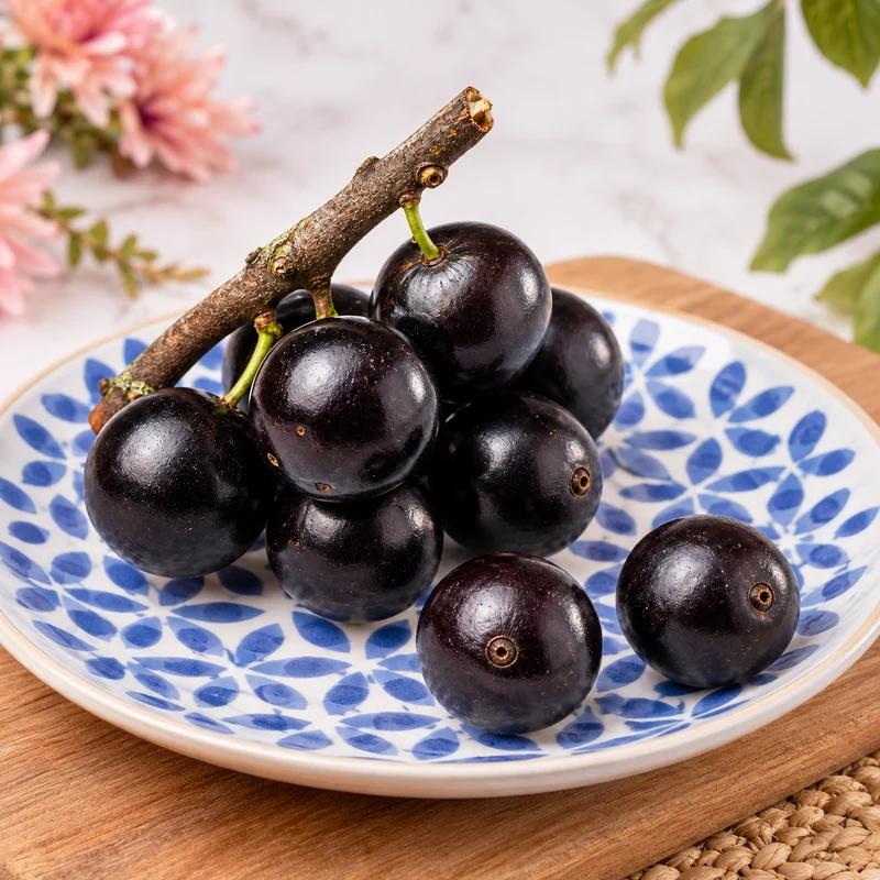 Jaboticaba (TRANSPORT FRIGORIFIQUE)