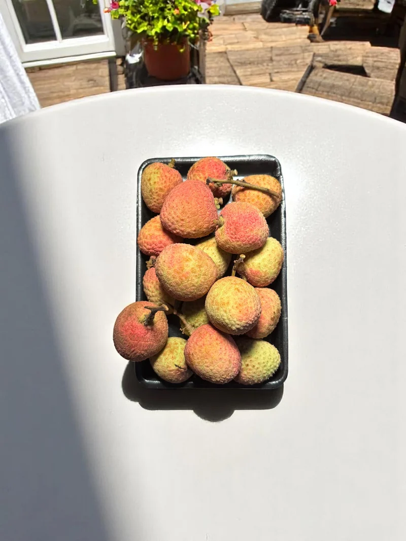 Litchi d'Espagne