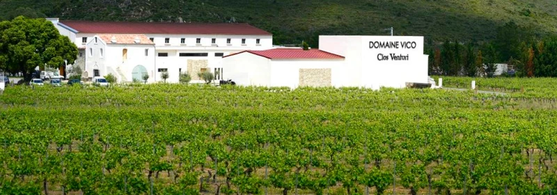 Vin de Corse Emera - 2024 - Domaine Vico