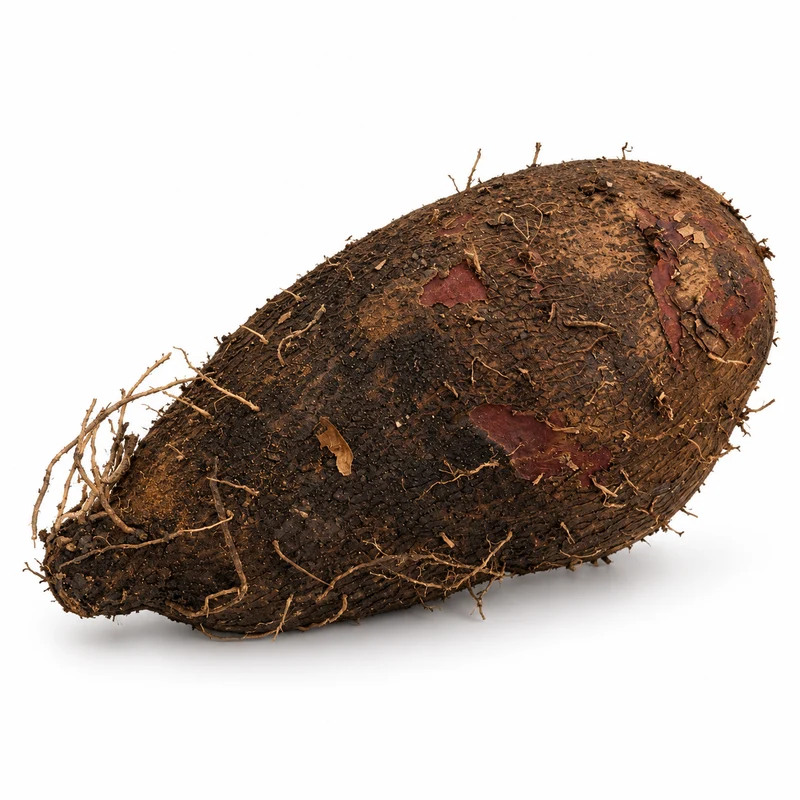Igname Guana de Guadeloupe