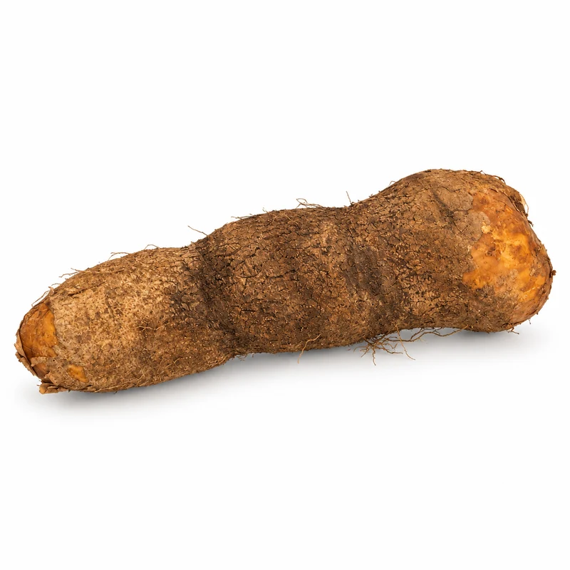 Igname Grosse Caille de Guadeloupe