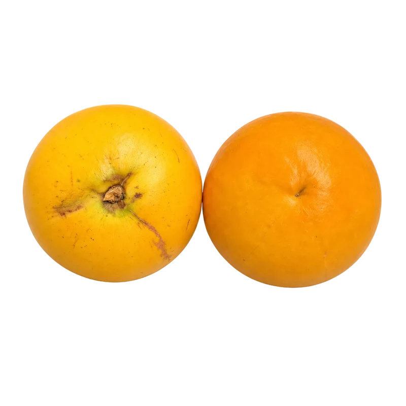 Golden caïmite – Pomme de lait dorée (fruit rare)