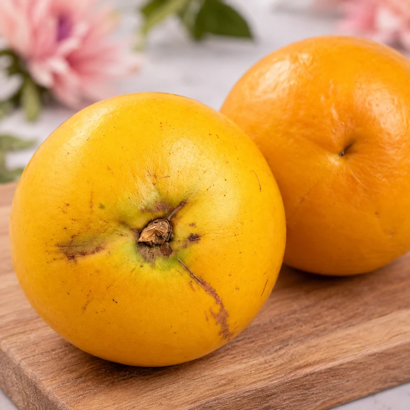 Golden caïmite – Pomme de lait dorée (fruit rare)