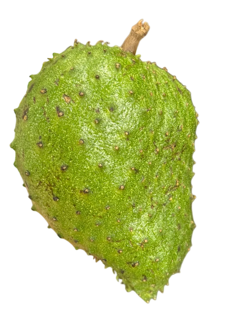 Corossol de Guadeloupe