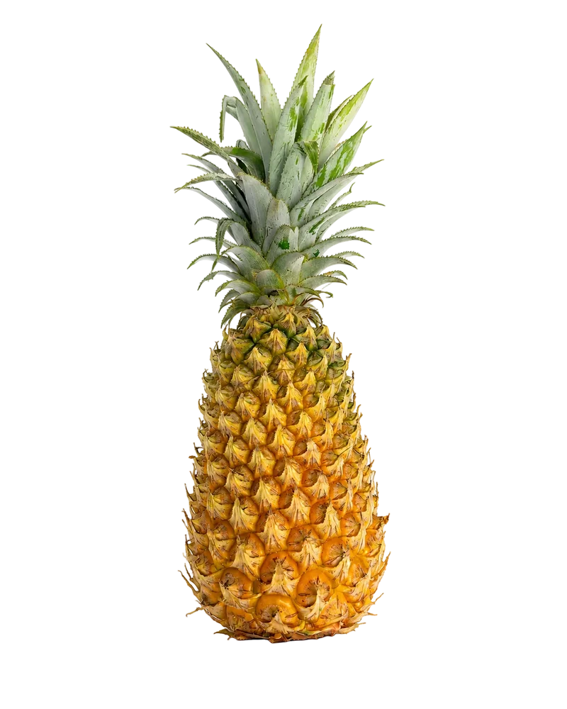Ananas Victoria de Guadeloupe