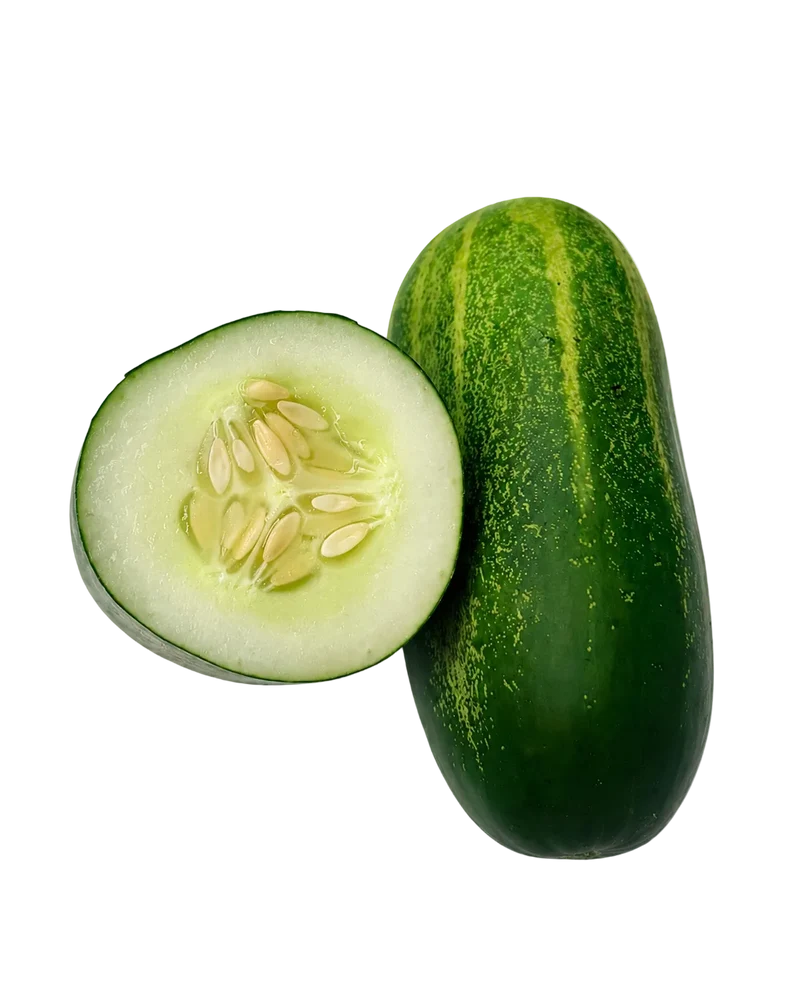 Concombre péyi de Guadeloupe