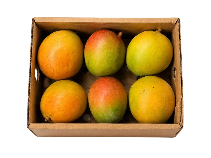 Mangue Keitt de République Dominicaine