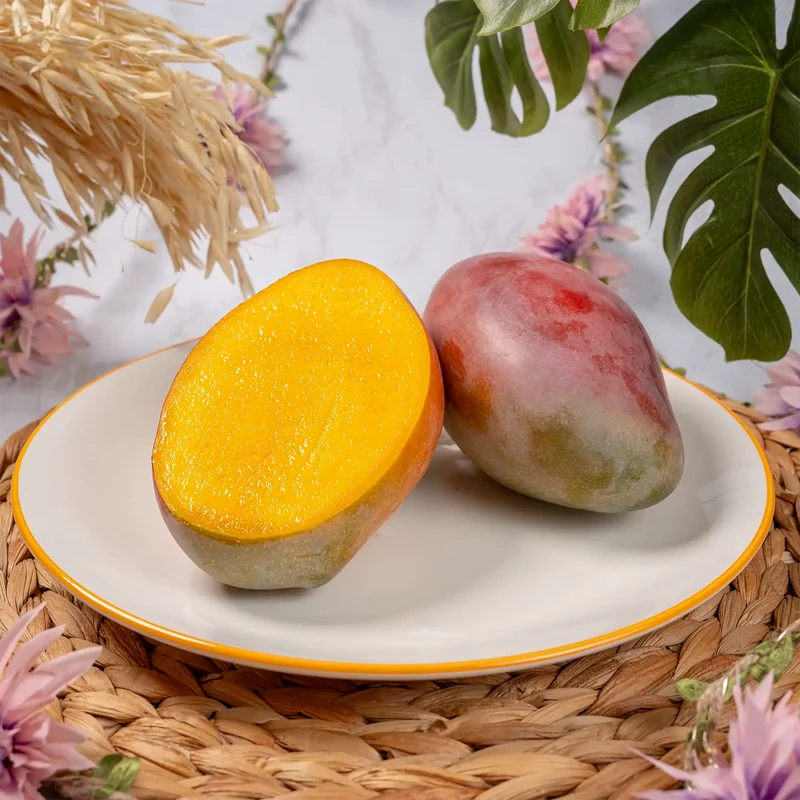 Mangue Osteen d'Espagne