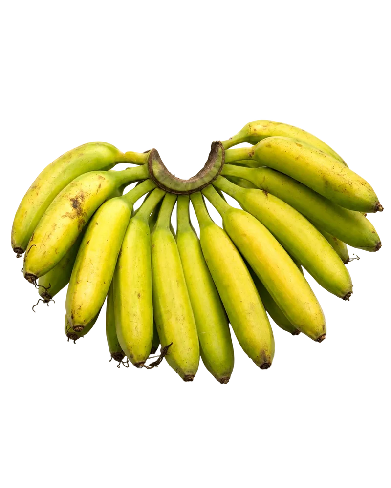 Banane Ti-sucre de Guadeloupe