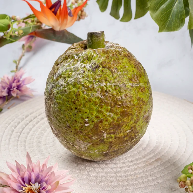 Fruit à pain de Martinique