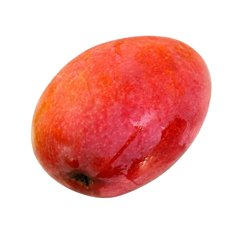 Mangue Irwin d'Espagne