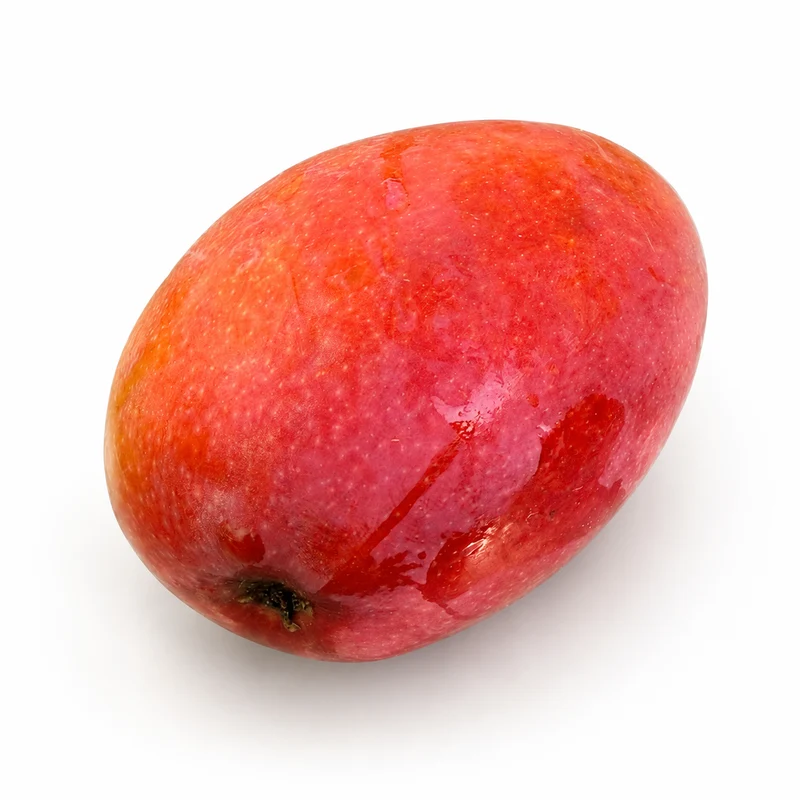 Mangue Irwin d'Espagne