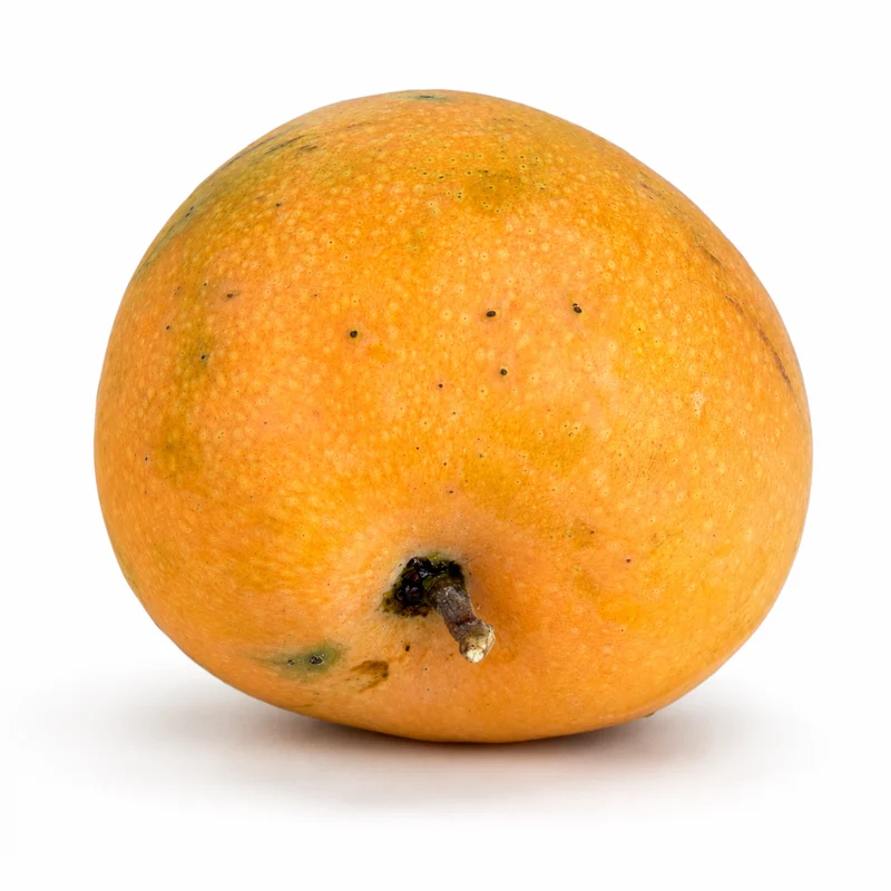 Mangue Alfonso d'Indonésie