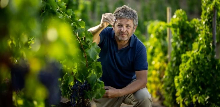 Priorat Finca Dofí - 2018 - Álvaro Palacios