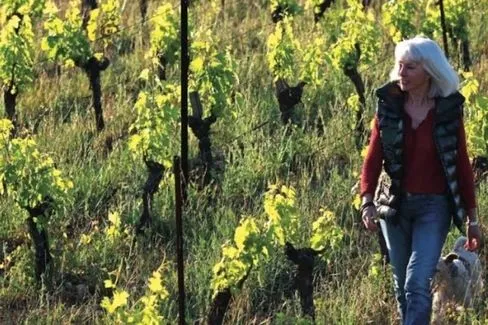 Vin de France Belle Léone - 2015 - Domaine Peyre Rose