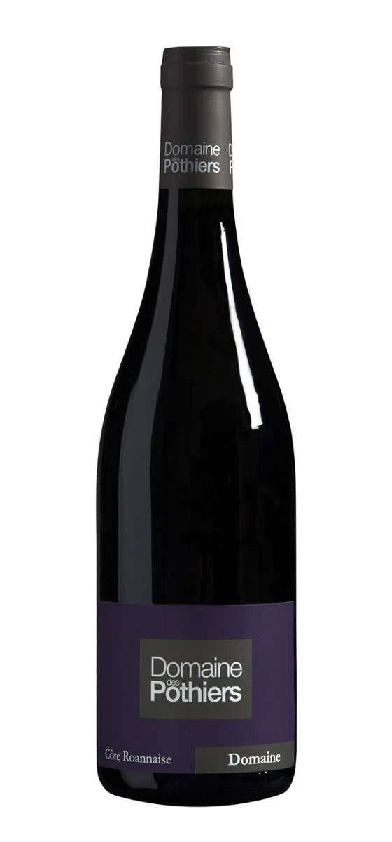 Domaine des Pothiers - AOP Côte-Roannaise - Rouge - 2019